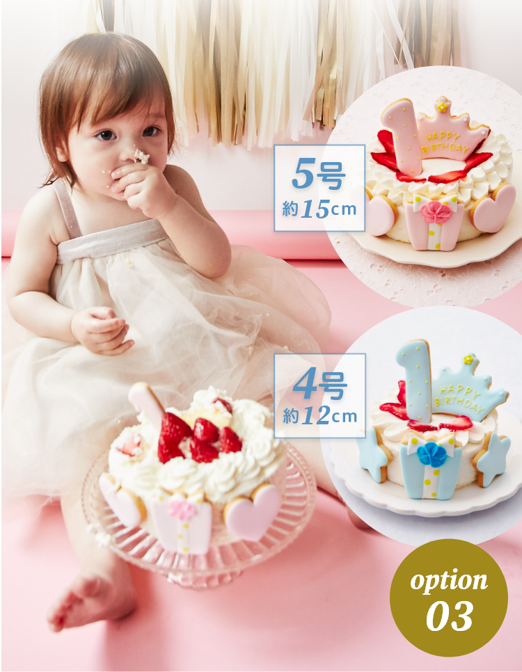 option 03 合わせ買いおすすめ商品! 5号 約15cm／4号 約12cm